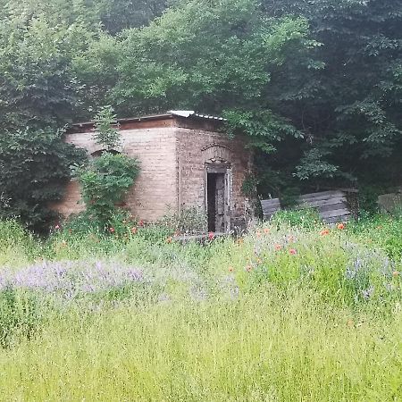 Gaestehaus Am Landgut Schonwalde-Glien Eksteriør bilde