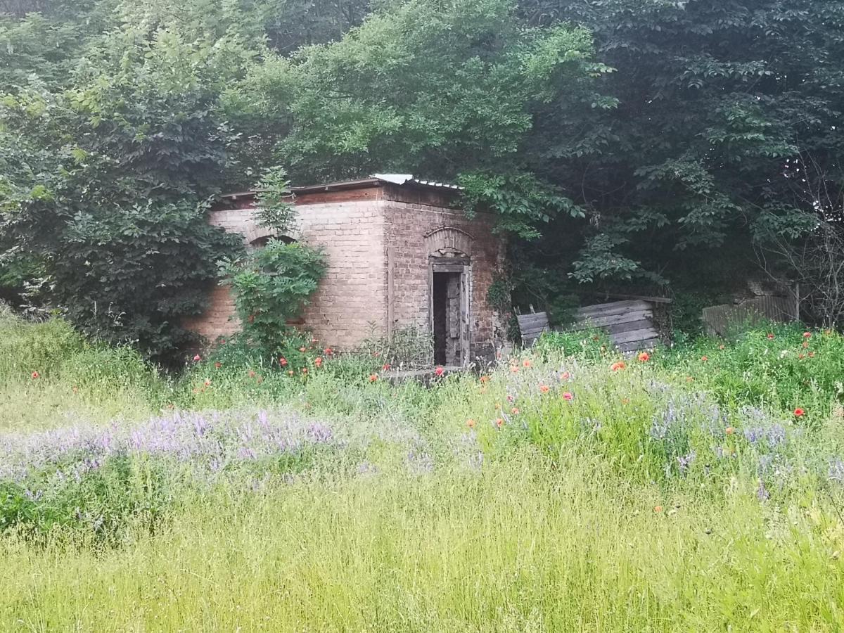 Gaestehaus Am Landgut Schonwalde-Glien Eksteriør bilde